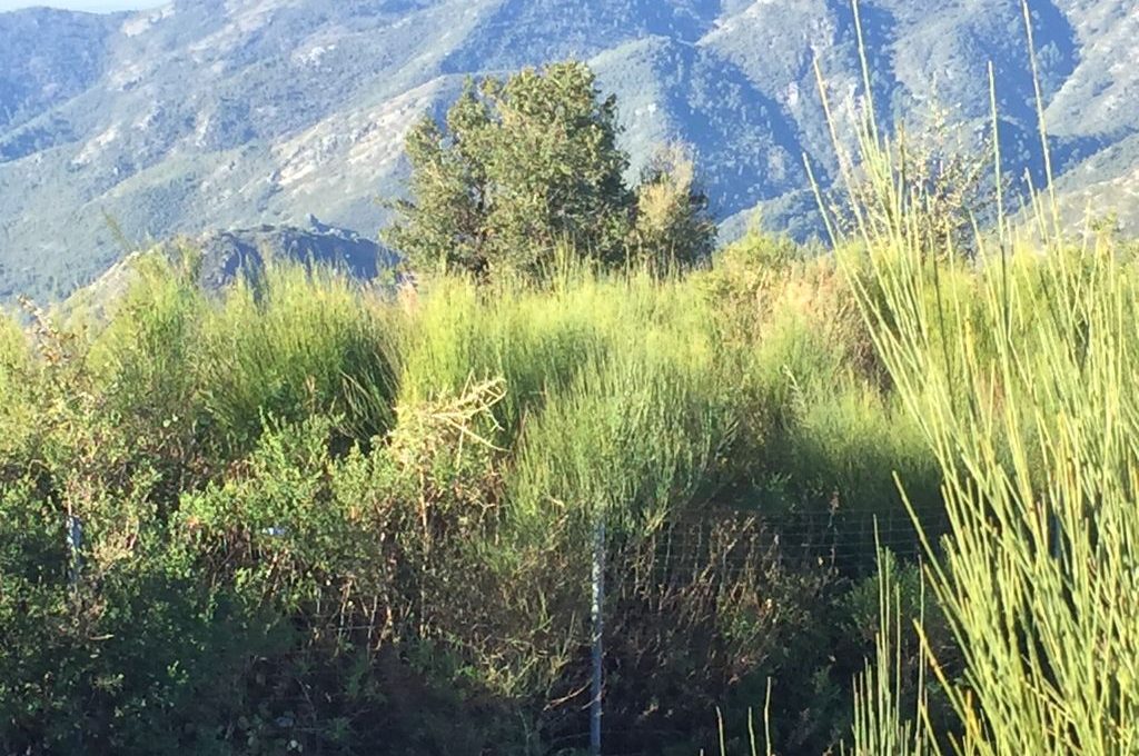 suelo-agrario-en-ojen