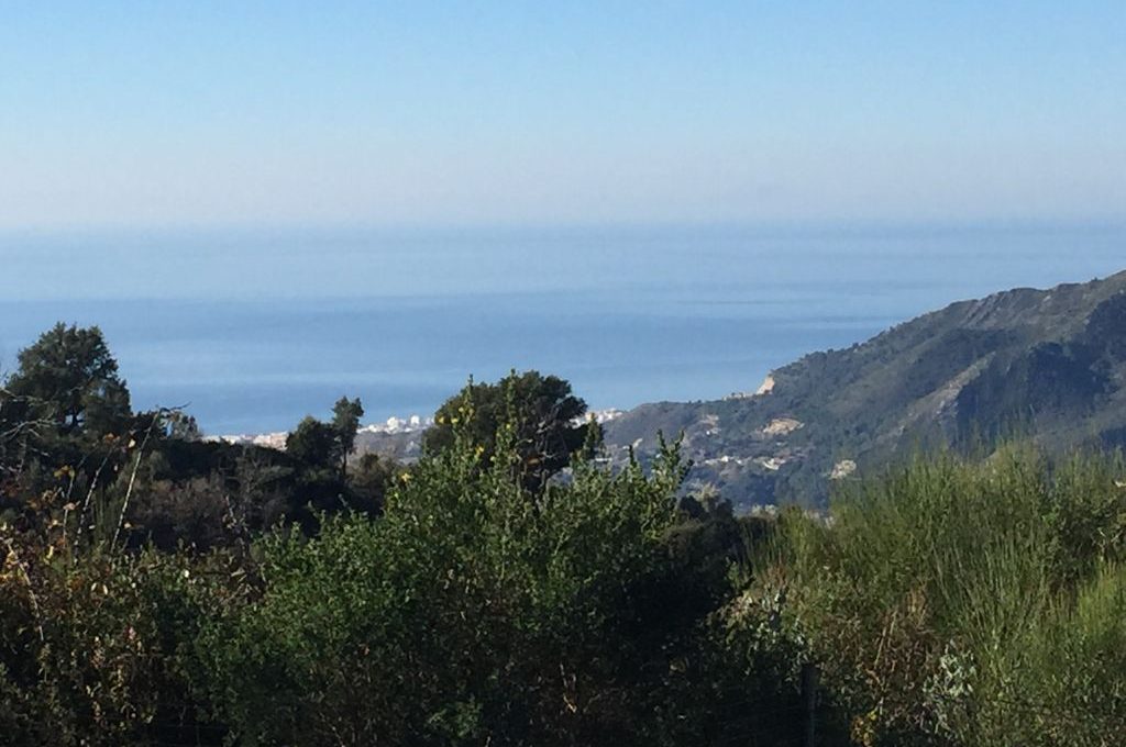 suelo-agrario-en-ojen