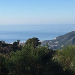 suelo-agrario-en-ojen