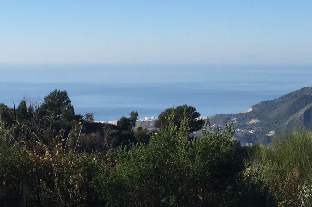 suelo-agrario-en-ojen