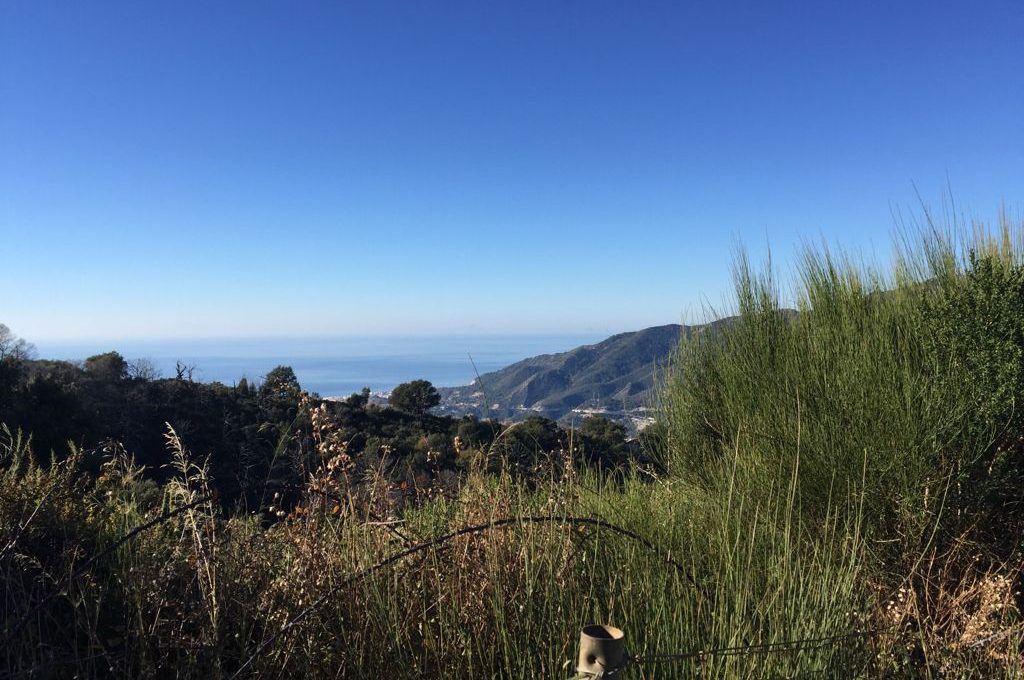 suelo-agrario-en-ojen