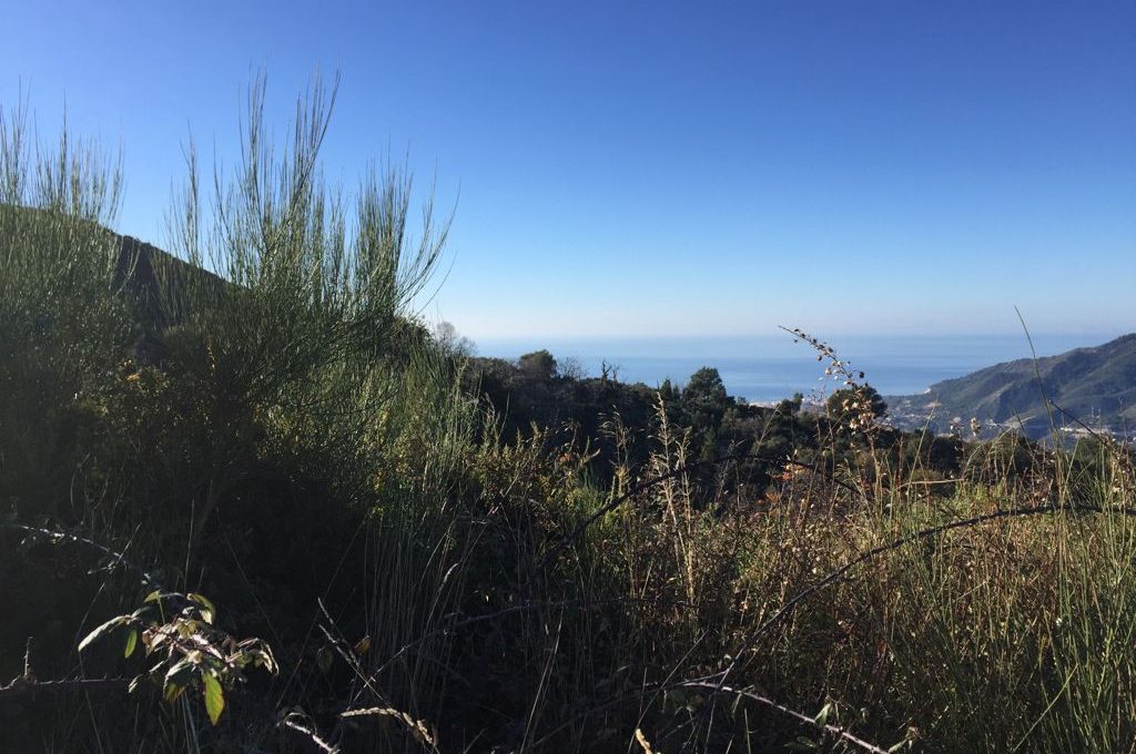 suelo-agrario-en-ojen