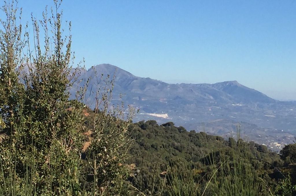 suelo-agrario-en-ojen