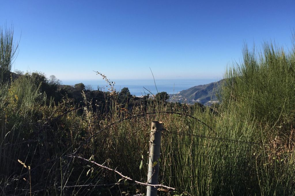 suelo-agrario-en-ojen